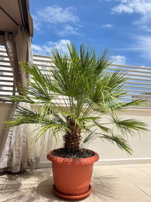 Piso Con Terraza A 5 Min Del Mar Apartment อัลกานาร์ ภายนอก รูปภาพ